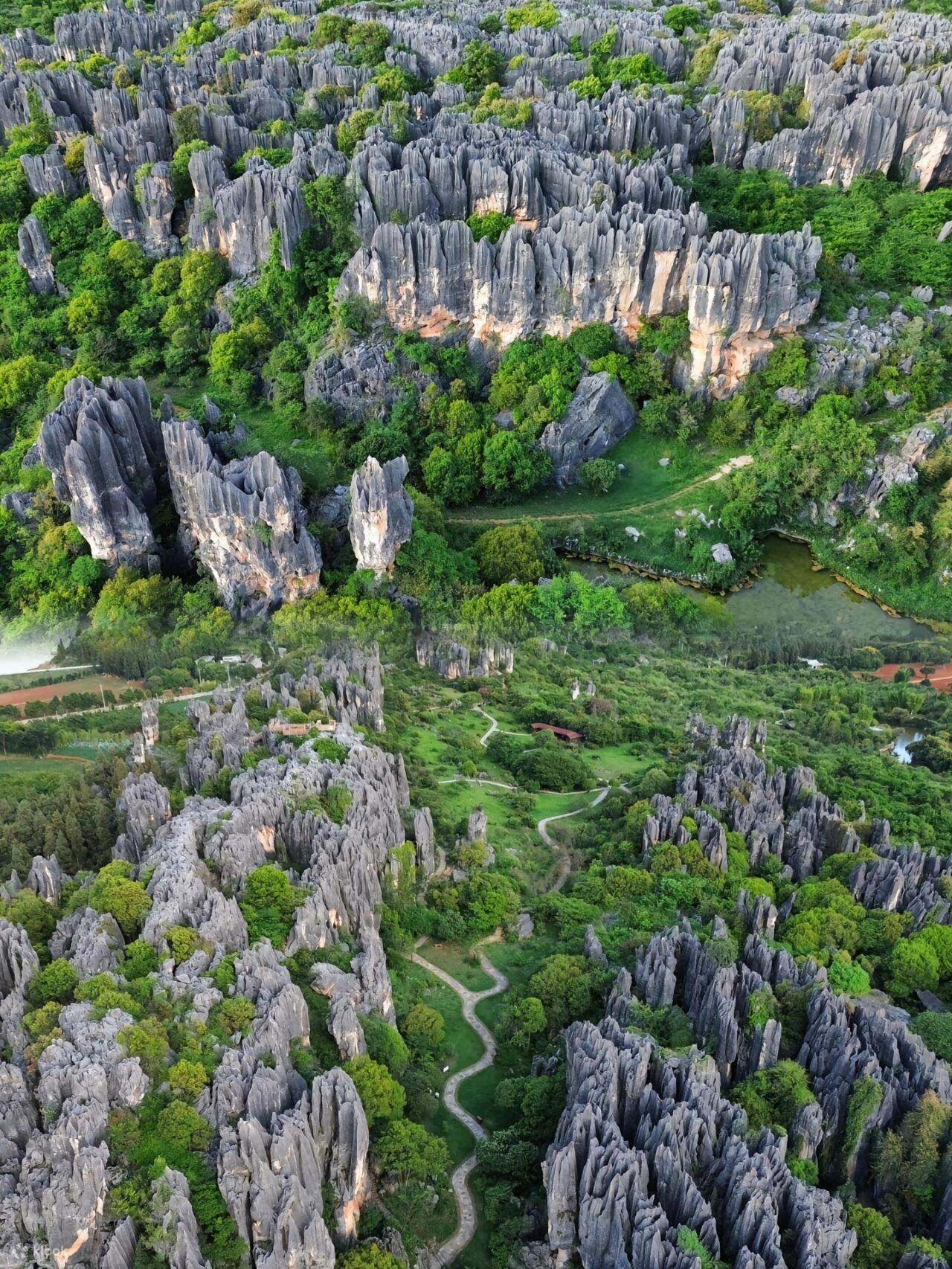 昆明石林風景名勝區+九鄉風景區1日遊【15人精品純玩小團&穿梭地質奇觀