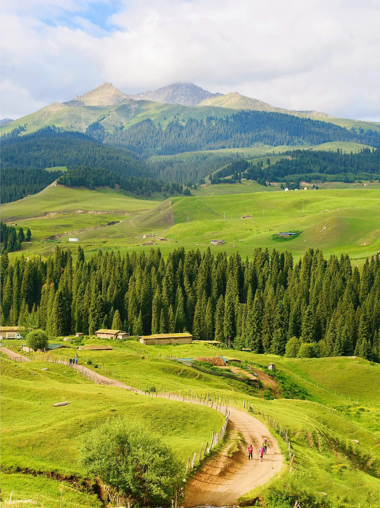 私享定制团】新疆伊犁纵贯天山8日(高配置坦克300+旅拍摄影+赛里木湖+夏塔冰川+恰西森林+那拉提草原+古牧道秘境) - Klook客路
