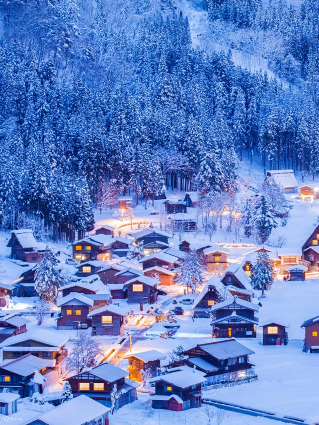 Excursão de um dia à iluminação de Shirakawa-go (partida de Nagoya)