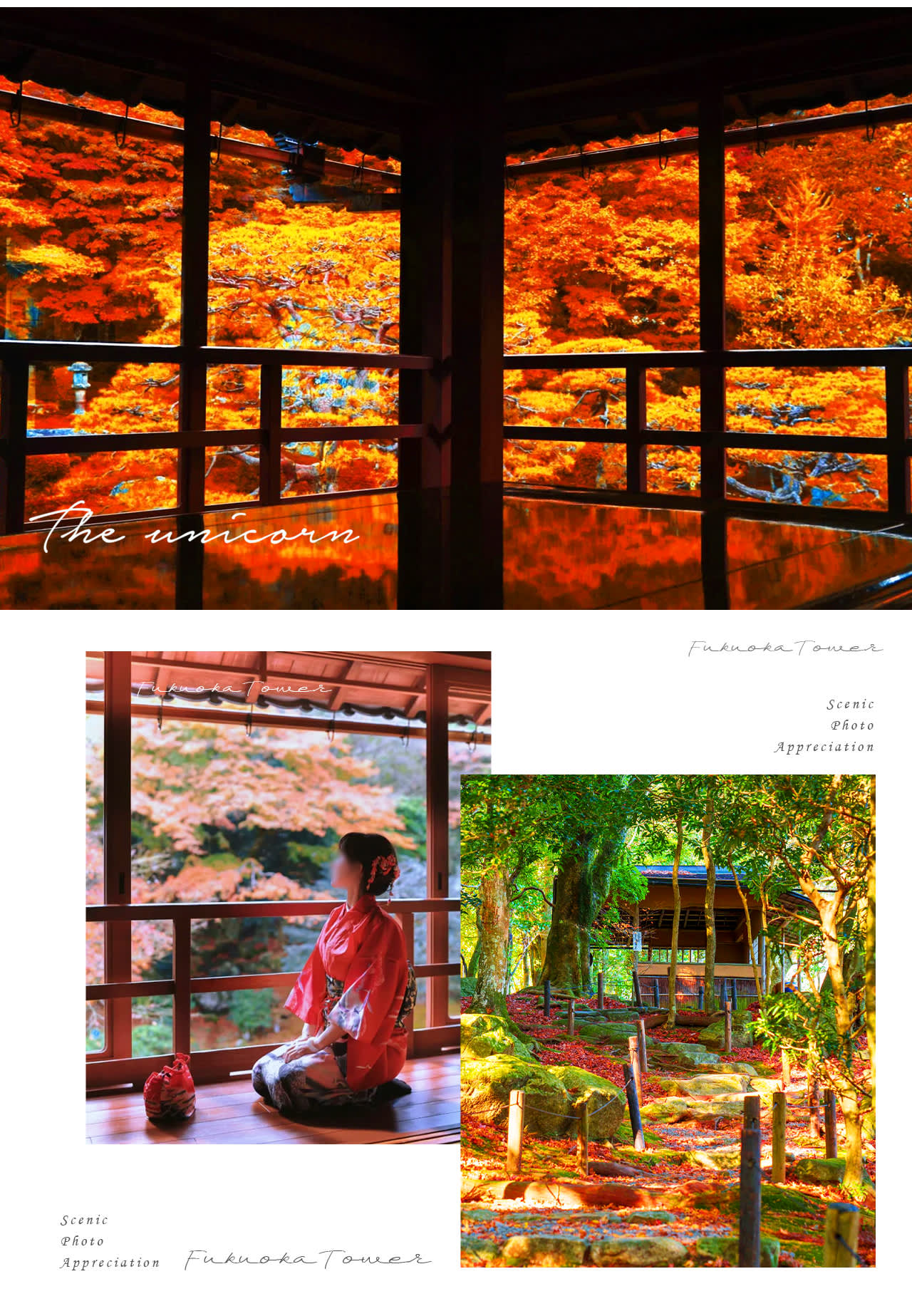 美秀美術館＆舊竹林院＆琵琶湖白鬚神社一日遊 Klook 客路