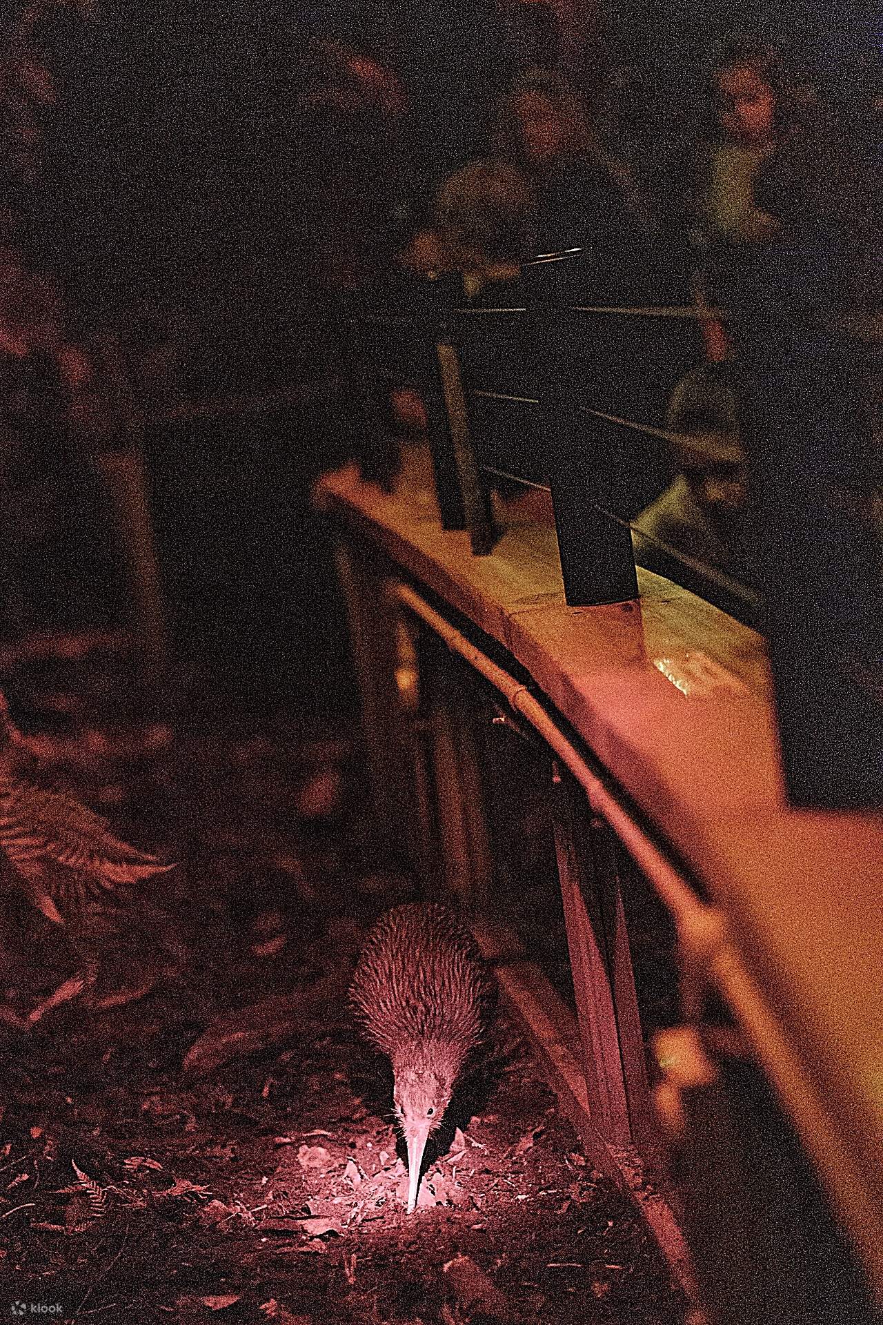 Vé Trung Tâm Động Vật Hoang Dã West Coast