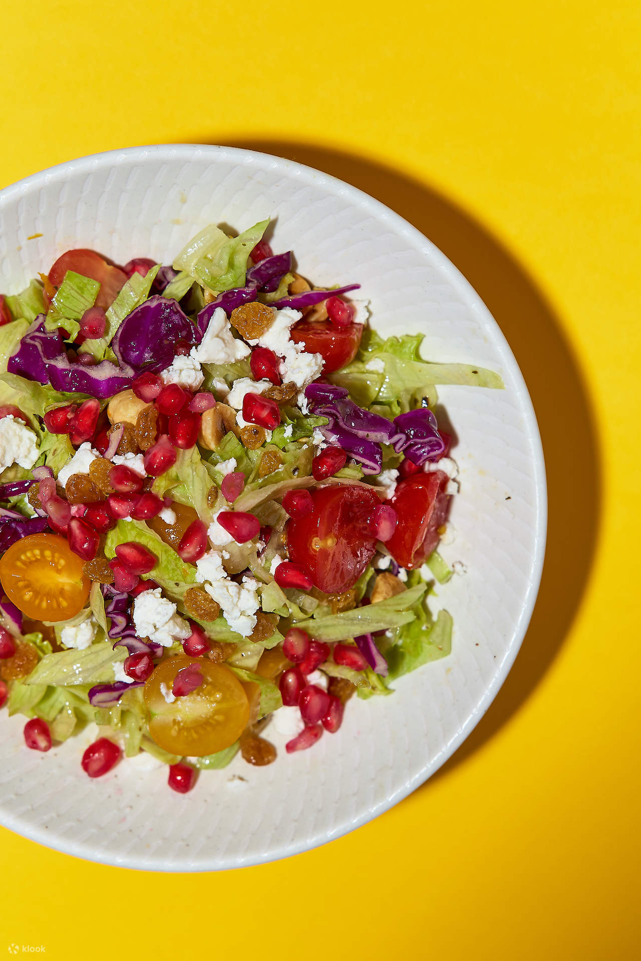 Pizzette Kanak-kanak Liar di Singapura