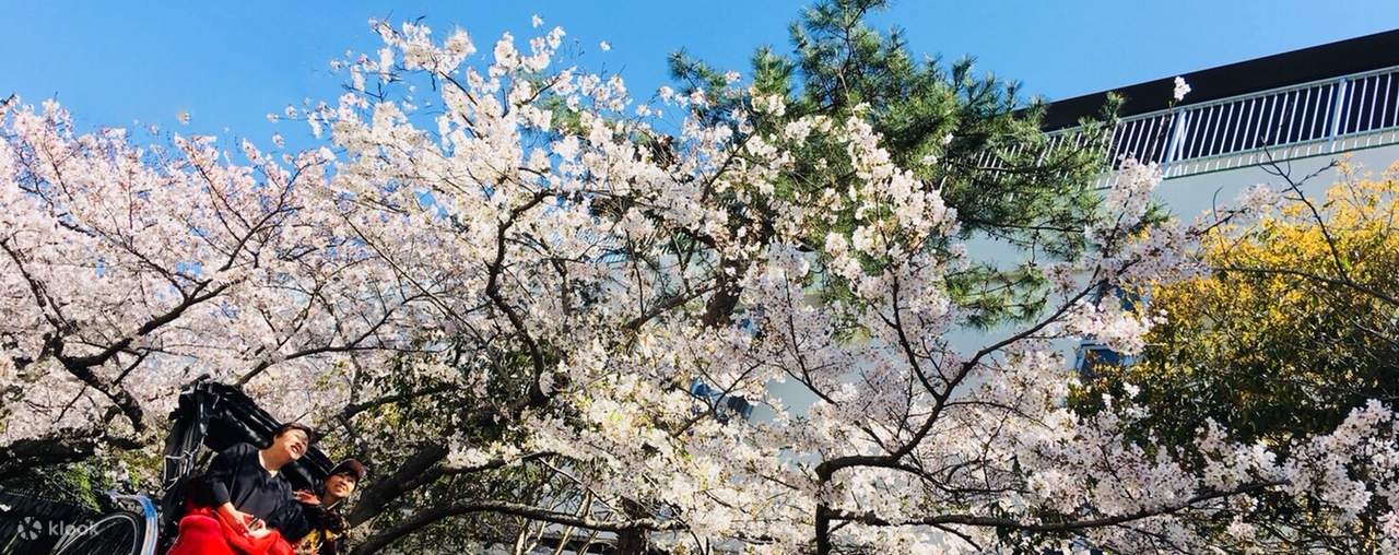 รถลากคามาคุระ