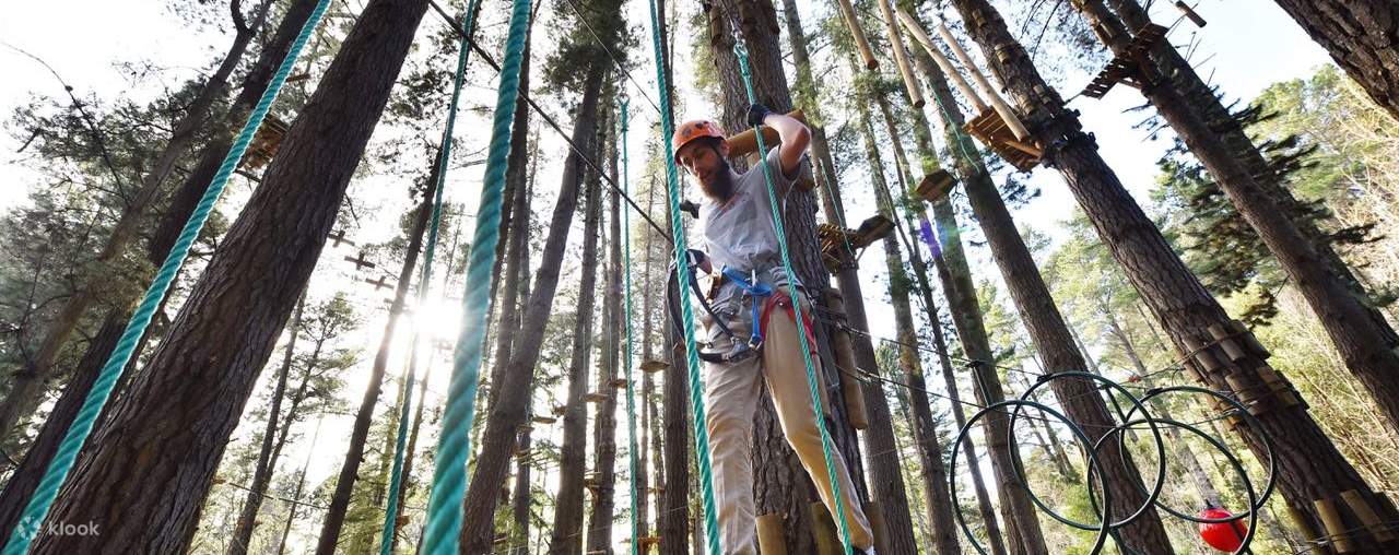 Đắm mình vào thảm thực vật tươi tốt của công viên khi bạn vượt qua nhiều thử thách đang chờ đón.