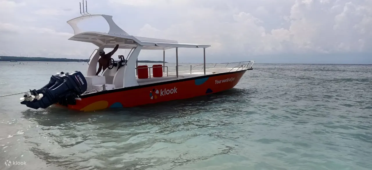 Nusa Penida Tour snorkeling