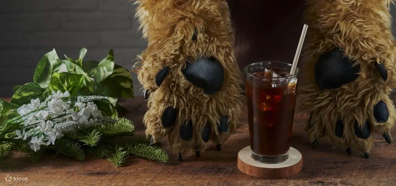 ANAKUMA CAFE - Klook Estados Unidos