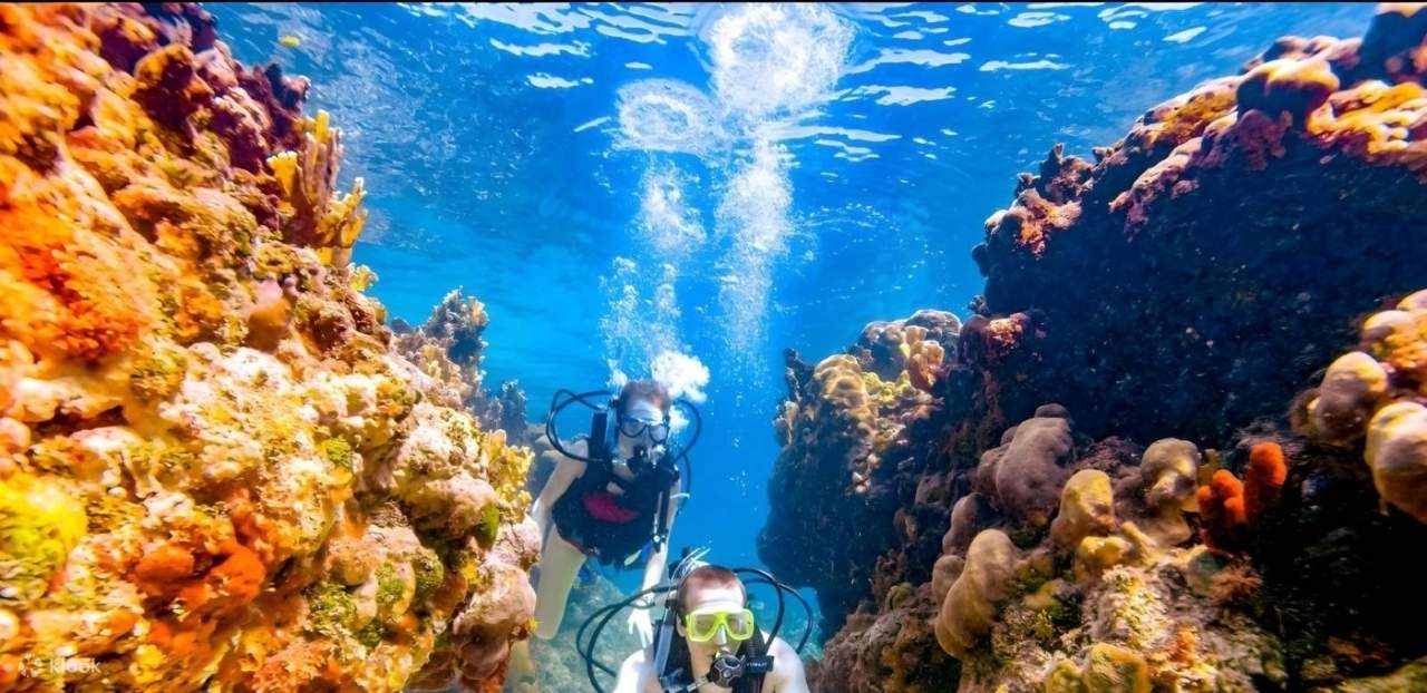 PADI Scuba Diving Course Open Water in 3 Days - Hurghada