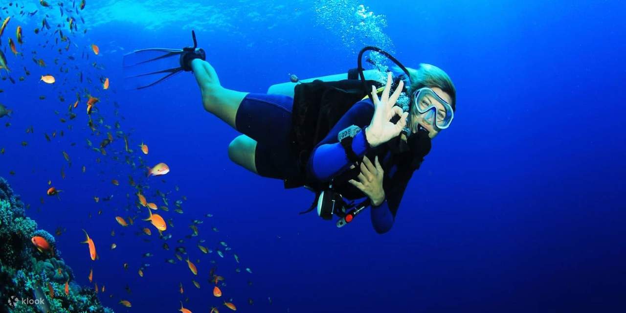 PADI Scuba Diving Course Open Water in 3 Days - Hurghada