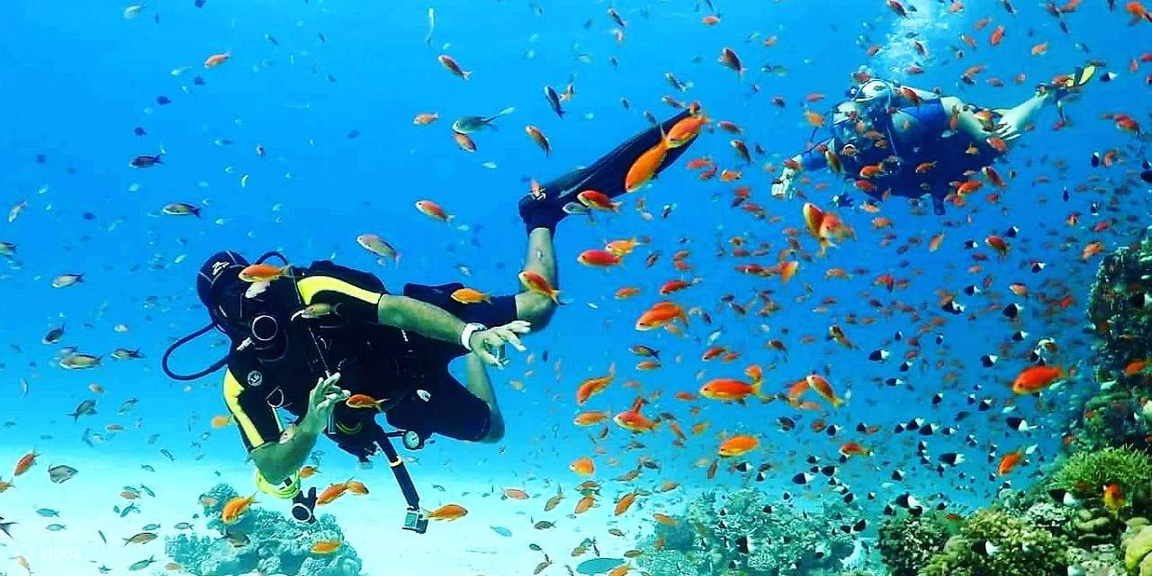 Kursus PADI Scuba Diving Open Water selama 3 Hari - Hurghada
