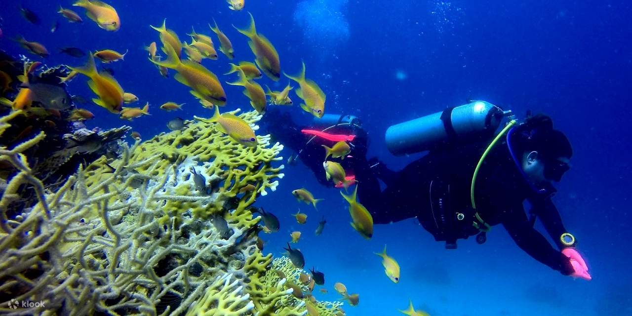 PADI Scuba Diving Course Open Water in 3 Days - Hurghada