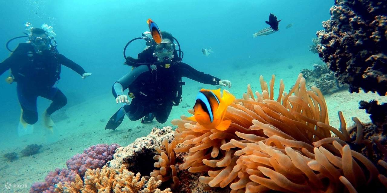 PADI Scuba Diving Course Open Water in 3 Days - Hurghada
