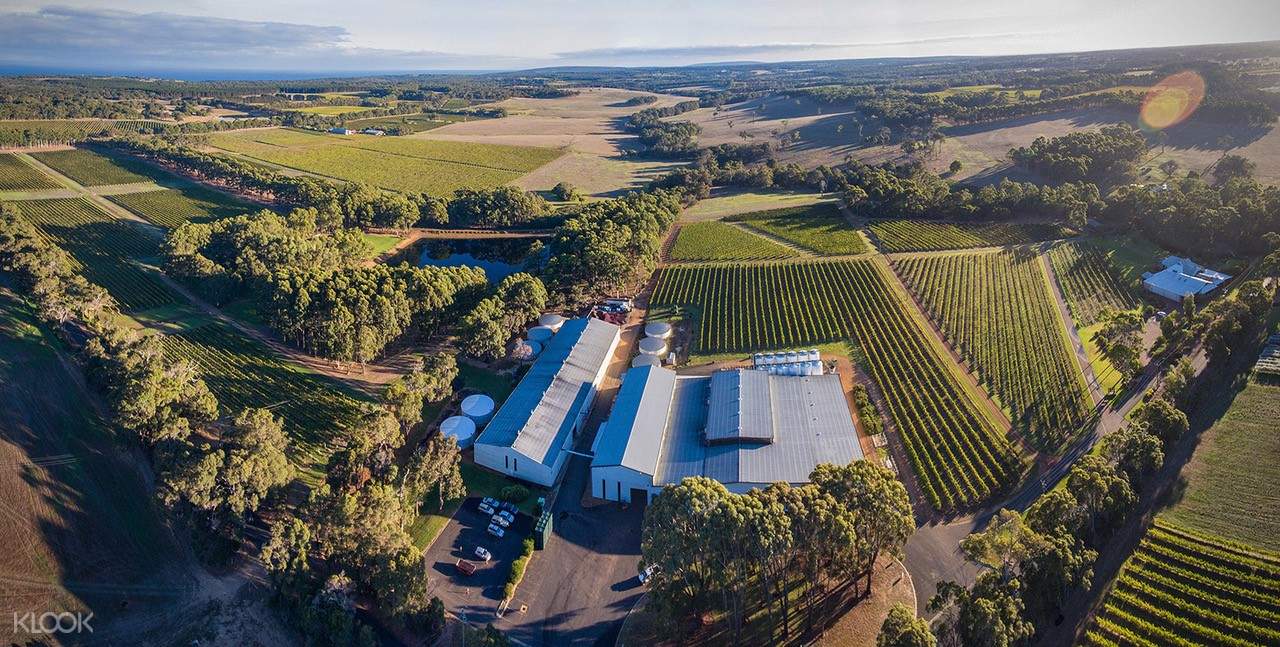 Vineyard Wine and Food Tour from Margaret River Klook Malaysia