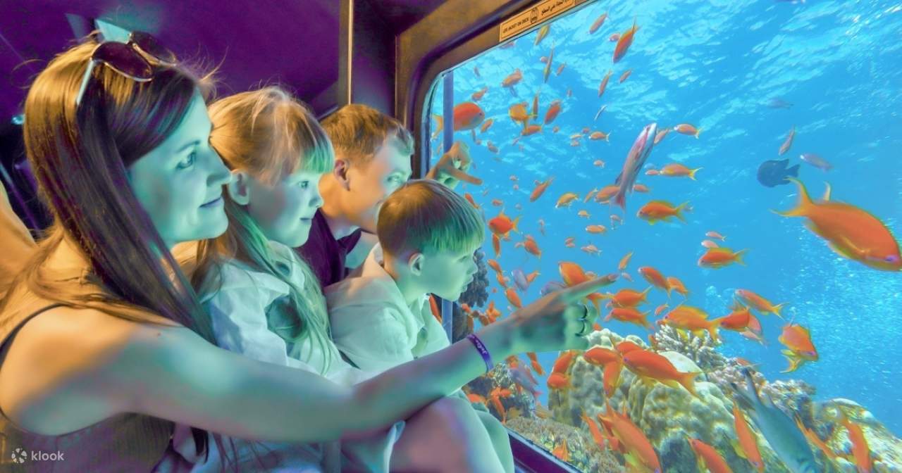 Panorama Semi-Submarine Snorkeling Sea Trip dengan Transfer – Hurghada