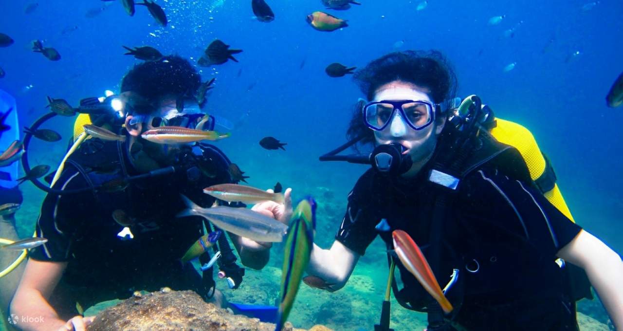 PADI Scuba Diving Course Open Water in 3 Days - Hurghada