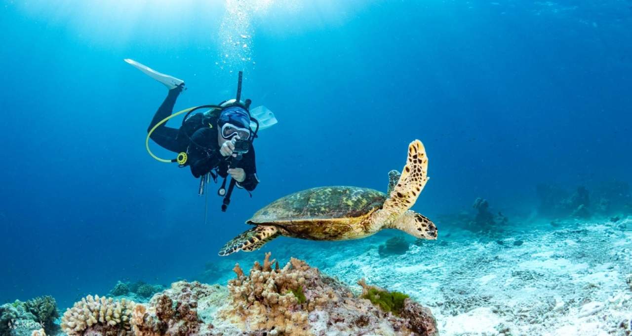 PADI Scuba Diving Course Open Water in 3 Days - Hurghada