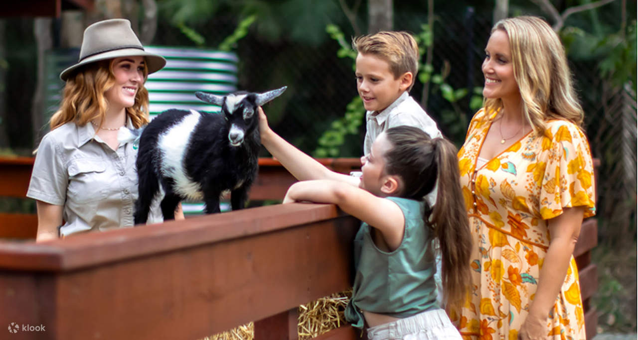 체험 패스: 커럼빈 야생동물 공원 + 트리탑 챌린지