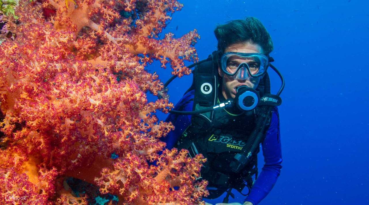 PADI Scuba Diving Course Open Water in 3 Days - Hurghada