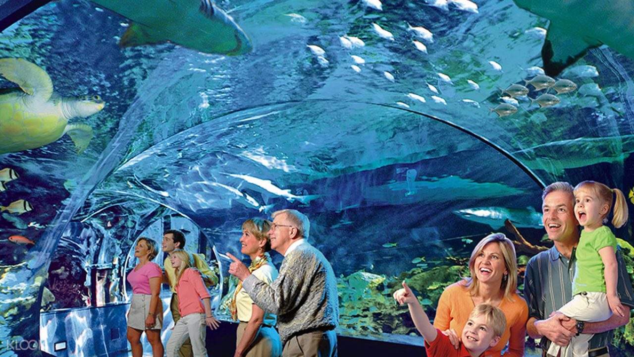 Ripley's Aquarium of Myrtle Beach Combo Ticket - RipleysAquariumofMyrtleBeachComboTicket