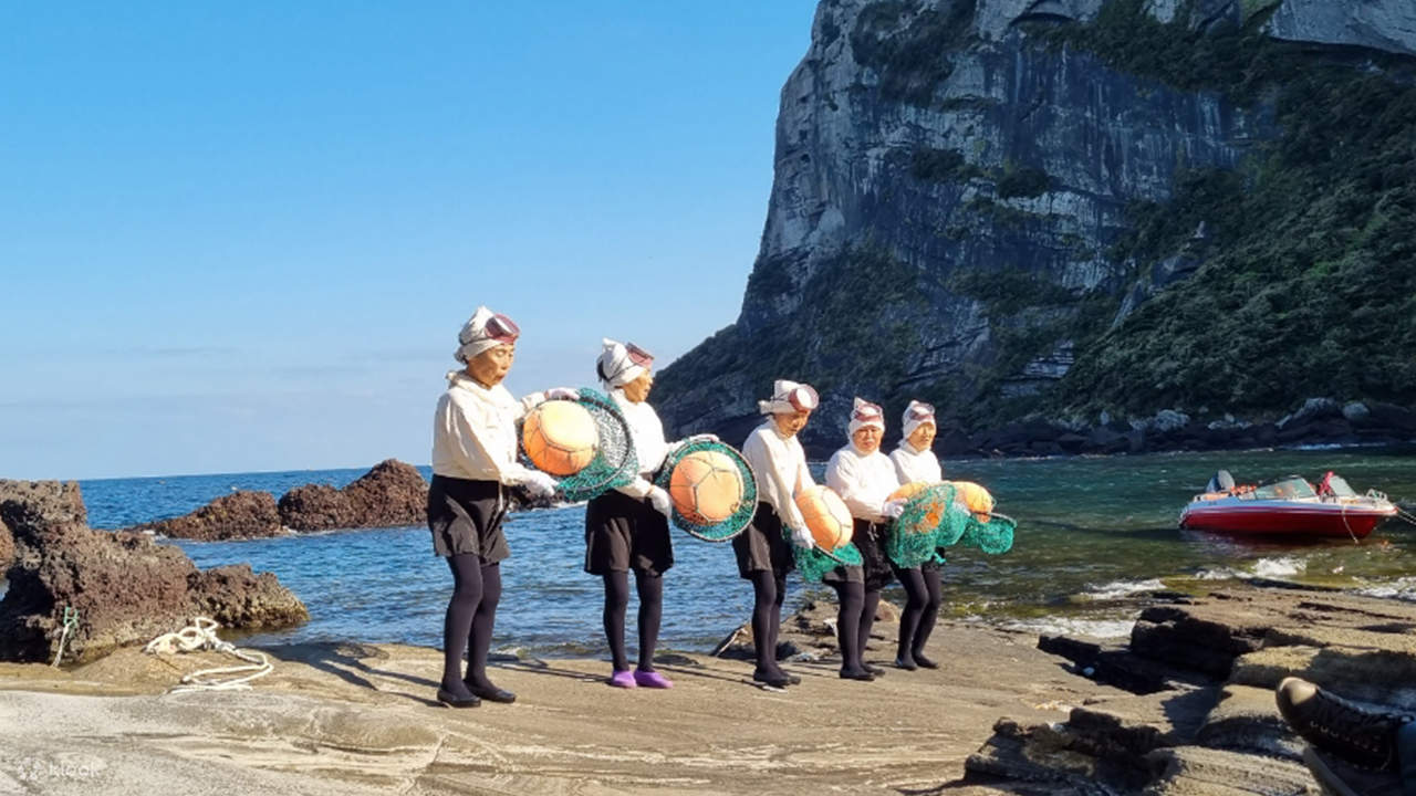 Jeju Cruise Guests Premium Small-Group UNESCO Tour (Up to 12 Pax ...