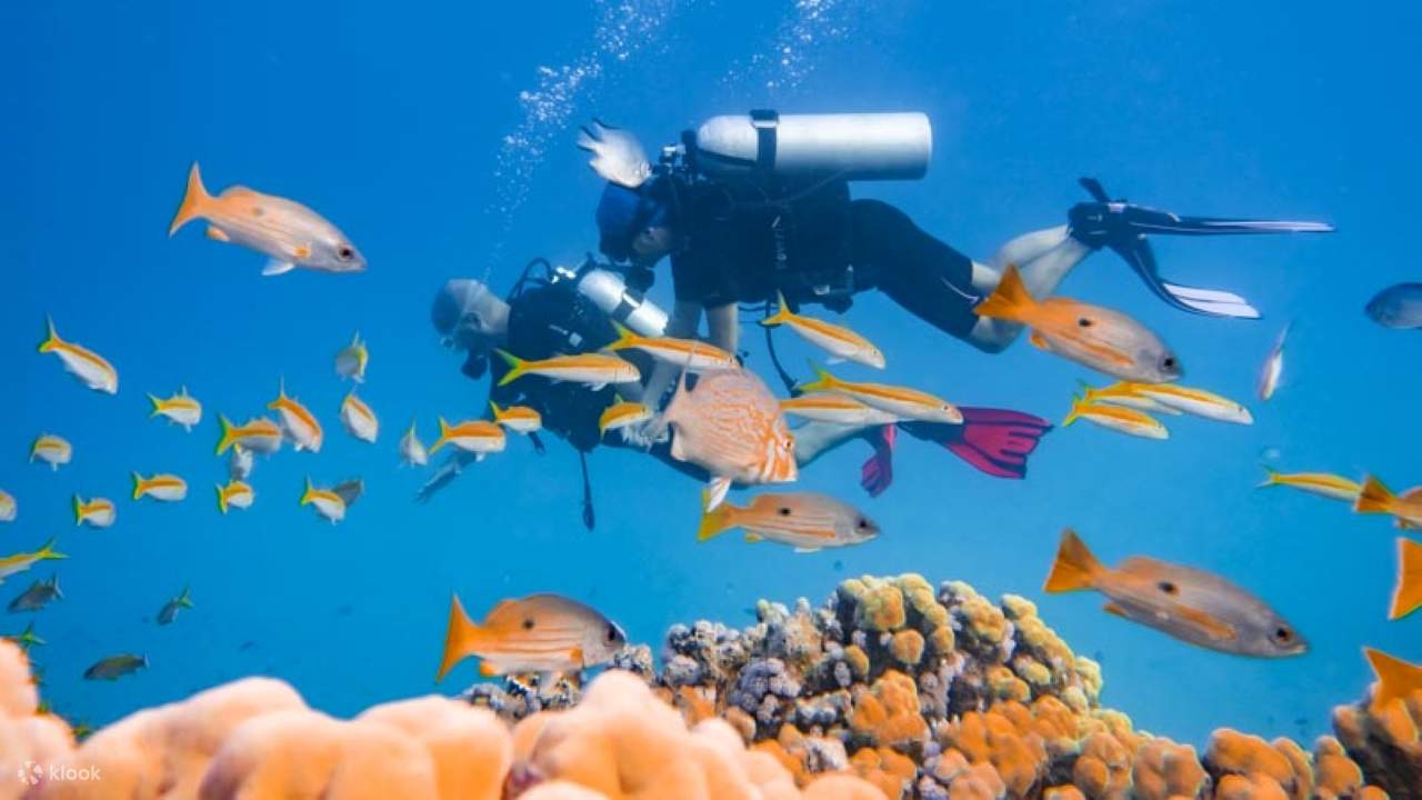 PADI Scuba Diving Course Open Water in 3 Days - Hurghada