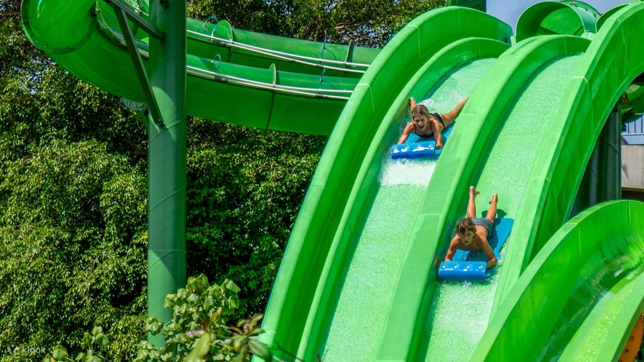 Waterbom Twin Racers