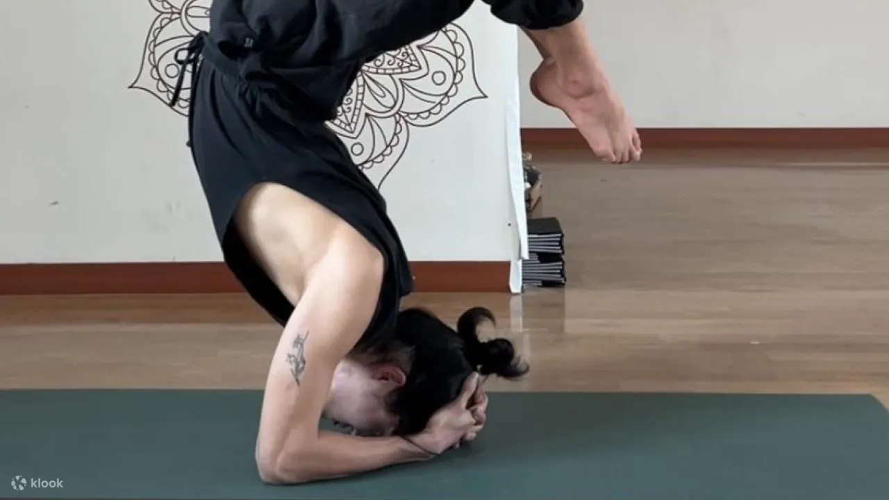 首尔经典哈达瑜伽和普洱茶谈话体验