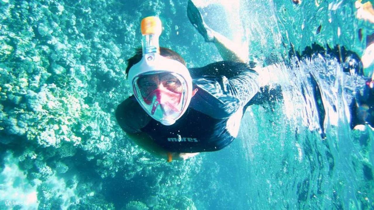 Tiran Island snorkeling Klook Stati Uniti