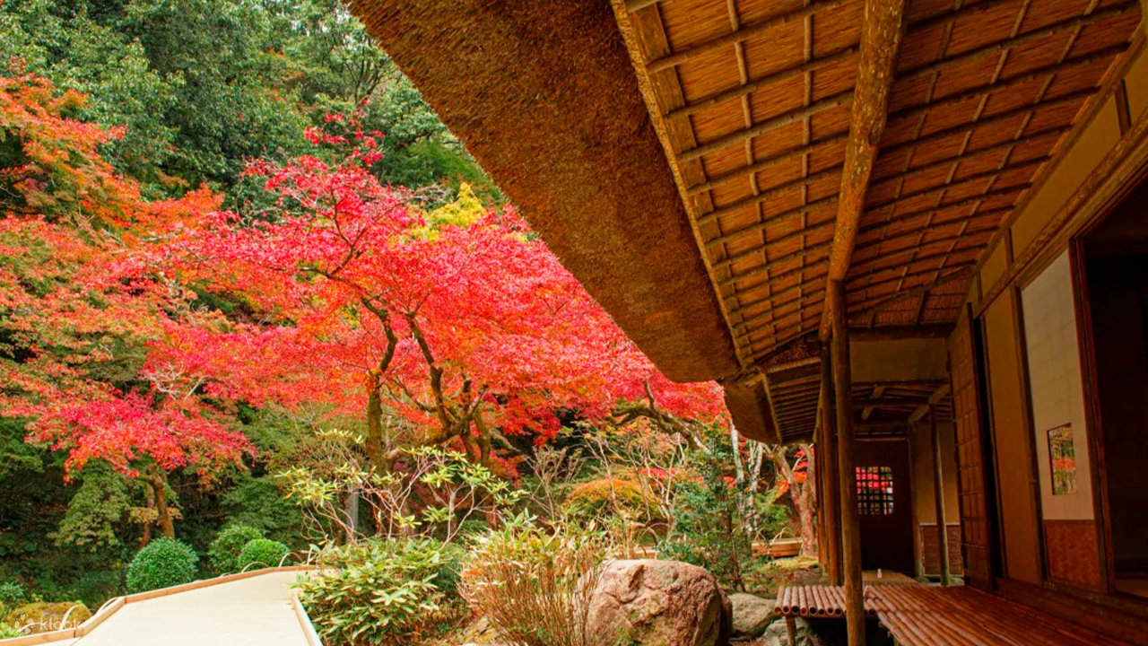 九州 紅葉の旅｜佐賀 九年庵&御船山楽園&祐徳稲荷神社&大興善寺 日帰り