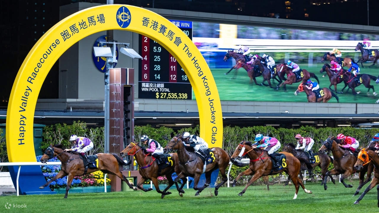 Hk Racing History Hong Kong Jockeying Sports Experience Tour - Klook Singapore