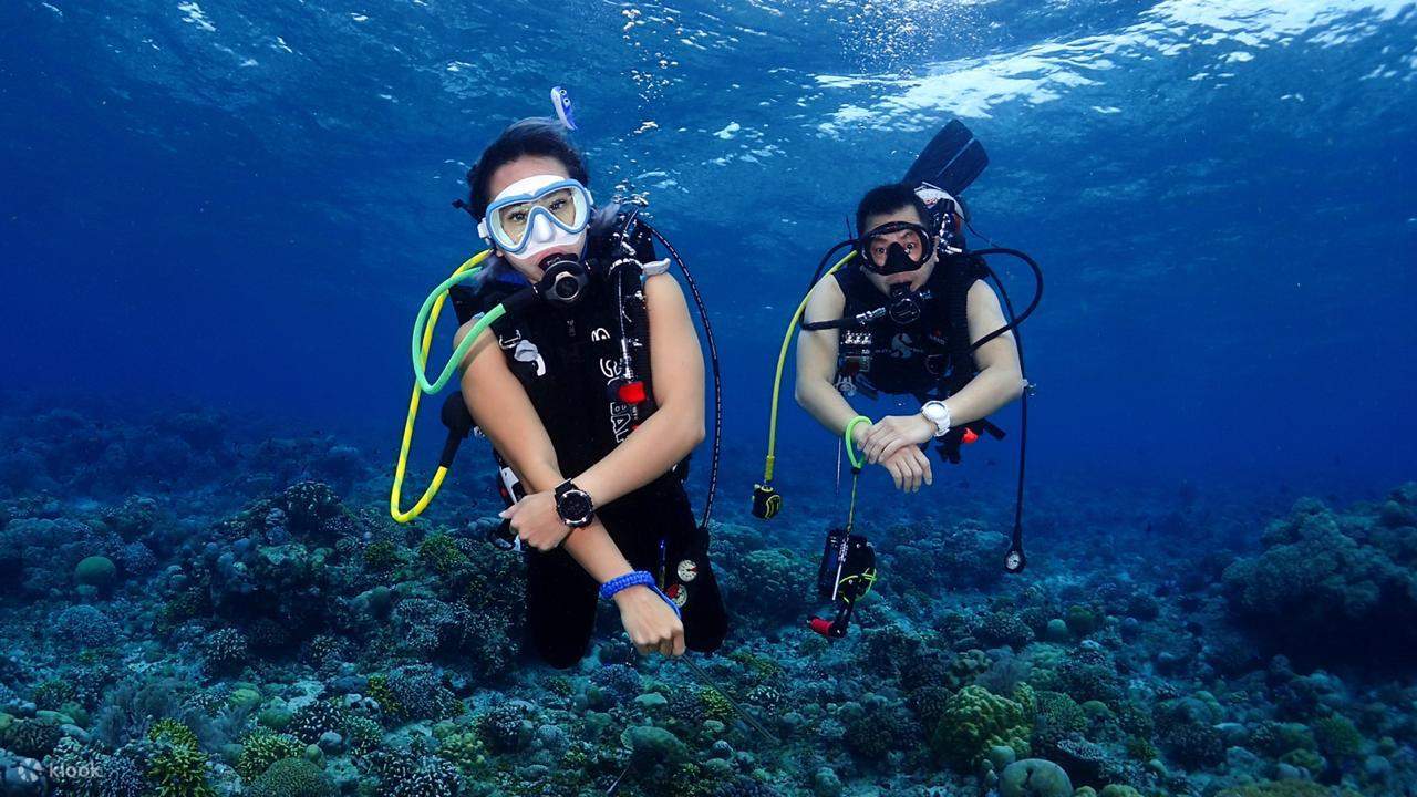 PADI Advanced Open Water Diver in Jakarta Dive with PADI Dive Center Klook New Zealand
