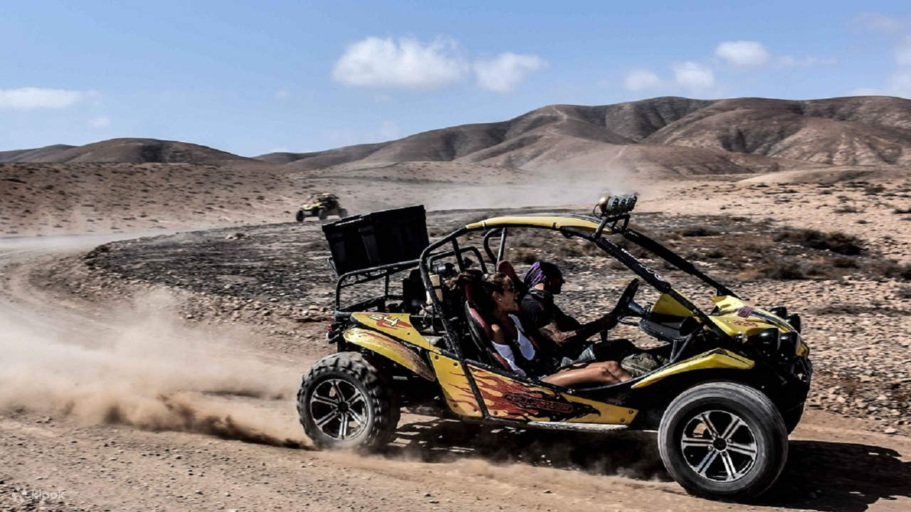 Quad or Buggy Safari Tour