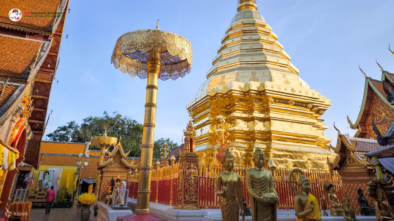 Chiang Mai Elephant Sanctuary Observation dan Kombo Aktiviti
