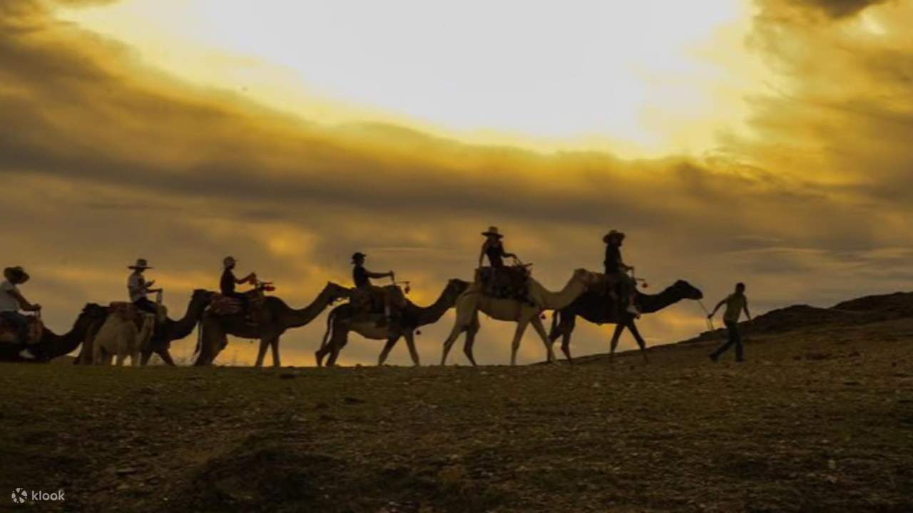 マラケシュ発：アガファイ砂漠でキャメルライド＆四輪バギー体験（ディナーショー付き）