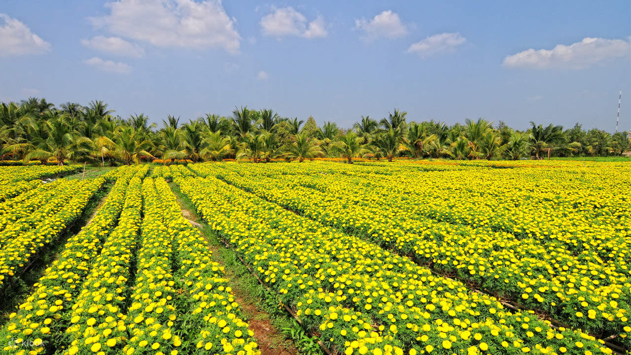Dong Thap, Sa Dec & Dinh Yen Private Day Tour - Klook