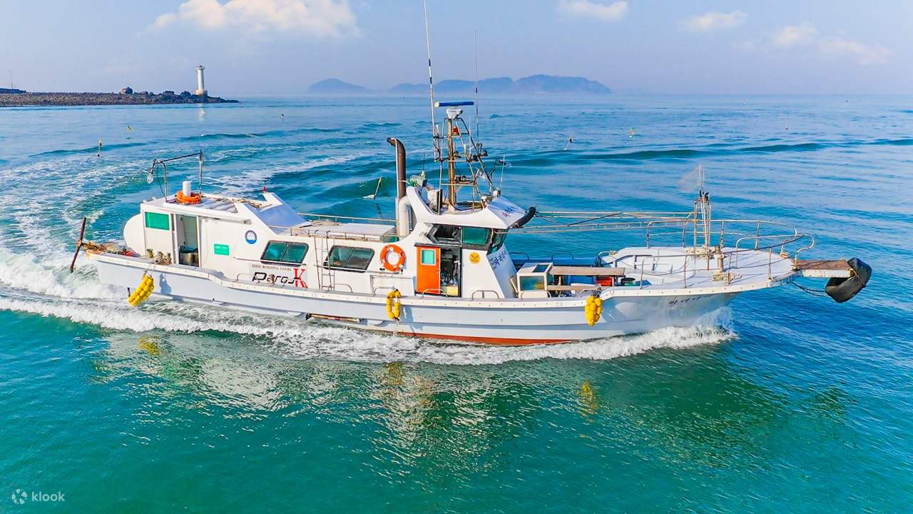 태안배낚시 천리포팀스카이 천리포항 레드스카이 선상낚시 광어 다운샷