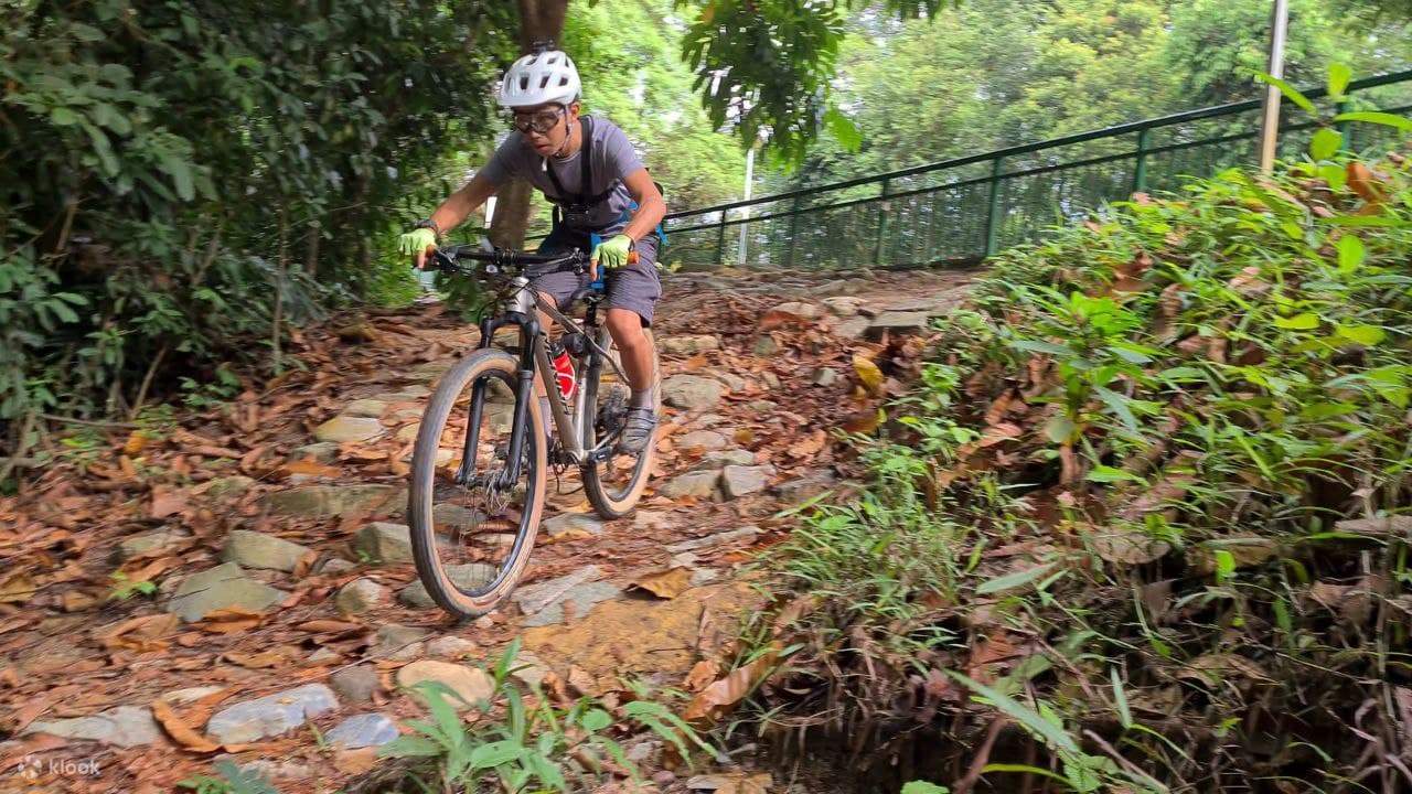 gobike シンガポール