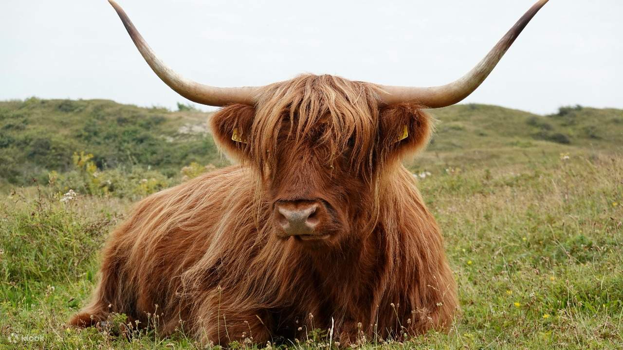 「弗里克收藏」扩建5年新亮相重现镀金年代豪宅风华| 生活艺文| 纽约| 世界新闻网, image size:1280x720