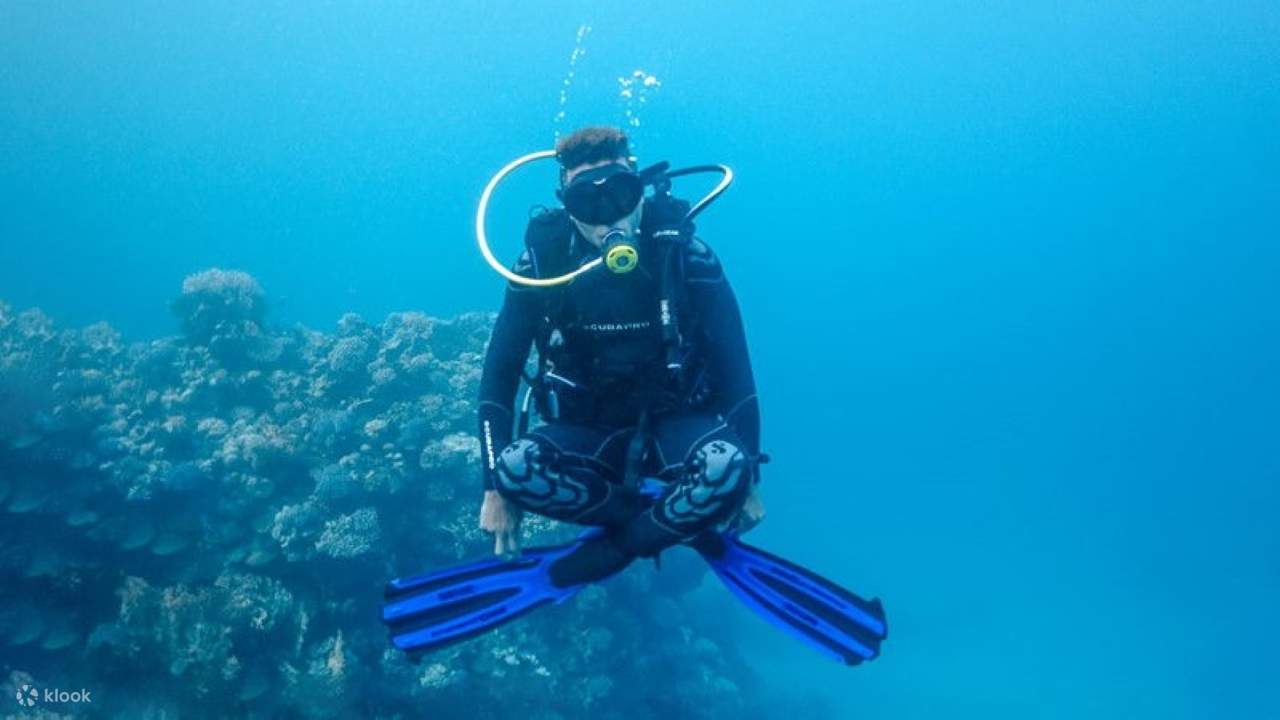 Kursus PADI Scuba Diving Open Water selama 3 Hari - Hurghada