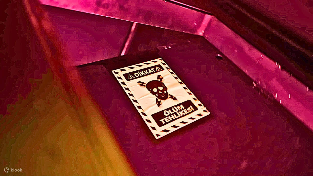 フランケンシュタイン・ホラーハウス 入場チケット