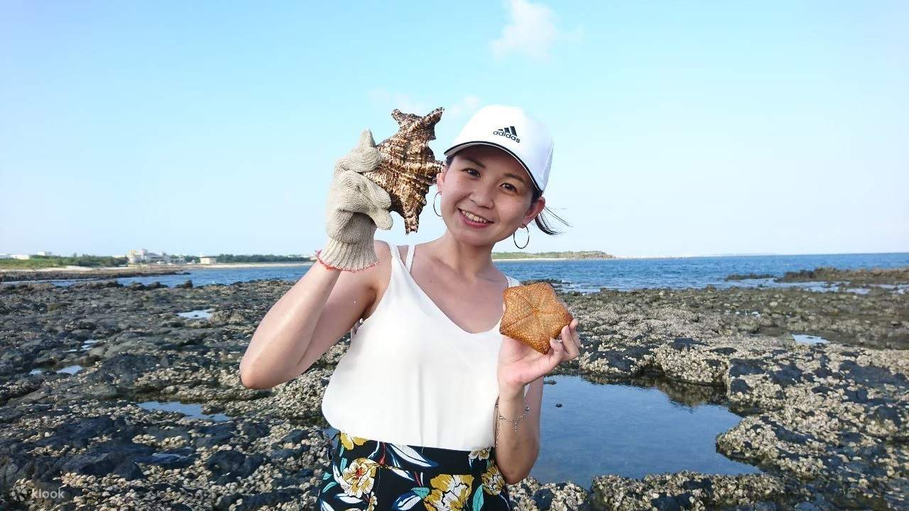 Night Tour of Dragon Palace