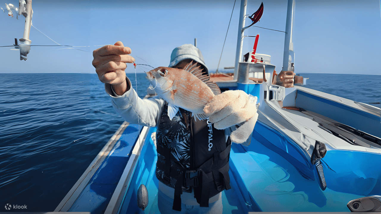 Tour di pesca in barca nel mare di Jeju con pranzo incluso