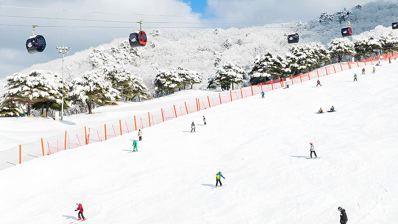 Vivaldi Park Ski & Snowboard English Speaking Private Lesson