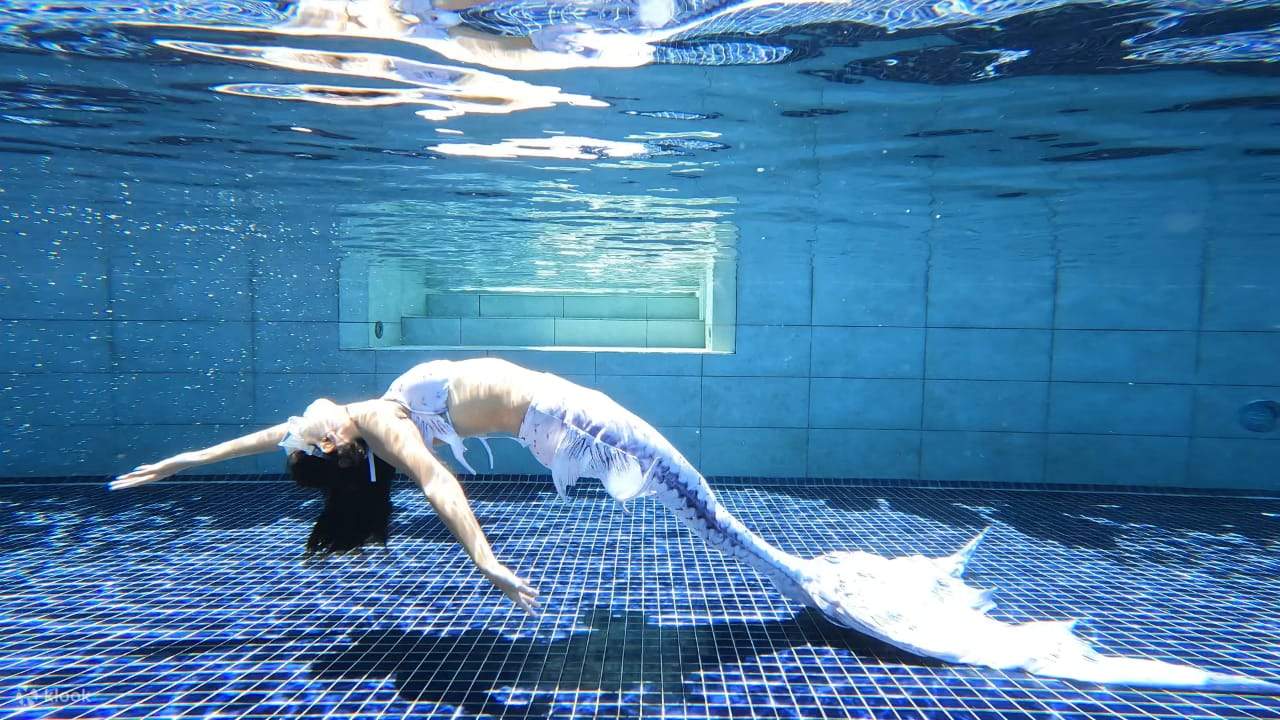 xplore the Depths with PADI Mermaid in Kota Kinabalu Sabah PADI Freediver Center Klook