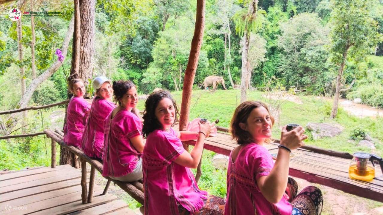 Chiang Mai Elephant Sanctuary Observation and Activity Combo
