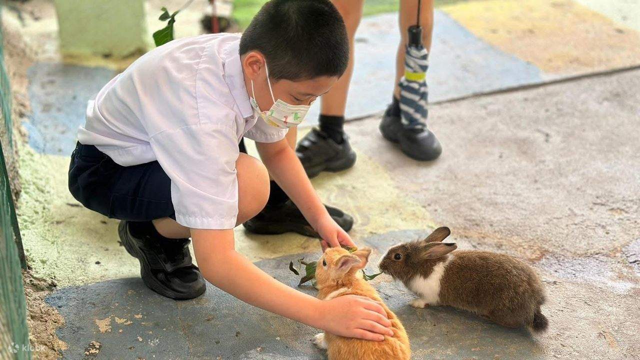 Penang: Balik Pulau, pittura batik e mini zoo con animali da accarezzare