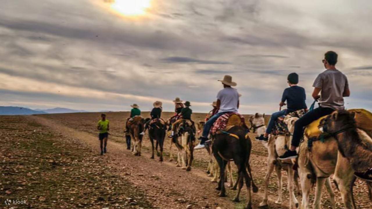 Marrakech : Balade à dos de chameau et en quad dans le désert d'Agafay avec spectacle et dîner