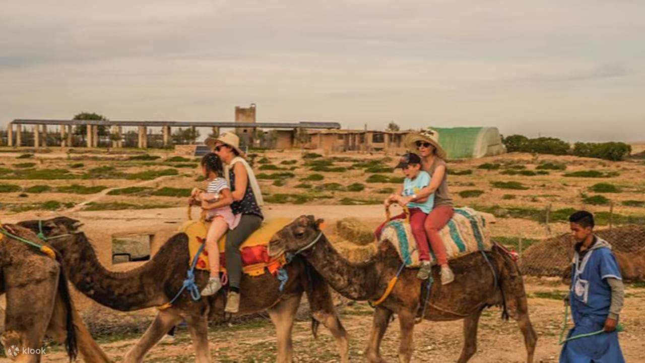 マラケシュ発：アガファイ砂漠でキャメルライド＆四輪バギー体験（ディナーショー付き）