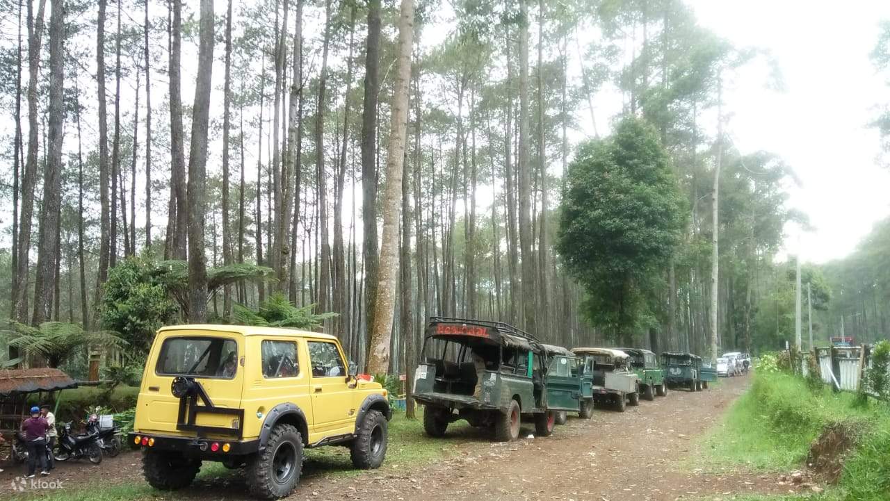 Hutan Pinus Pal 16 Cikole Lembang Ticket In Bandung Klook客路 0187