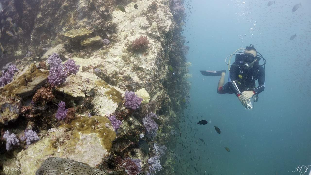 Full-Day Dive Trip [3 dives]