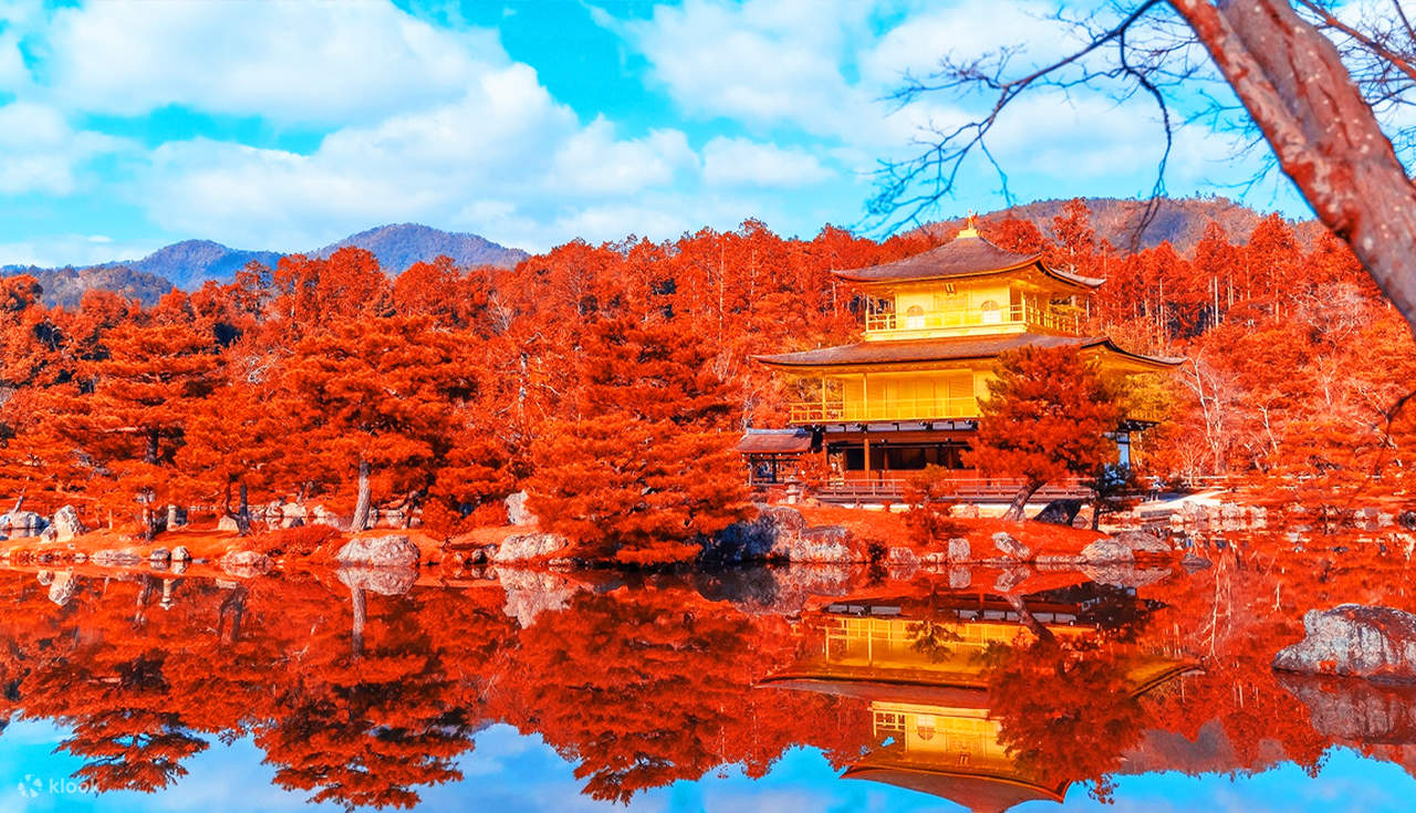 Kinkakuji Temple & Kiyomizu Temple & Fushimi Inari Taisha Kyoto 